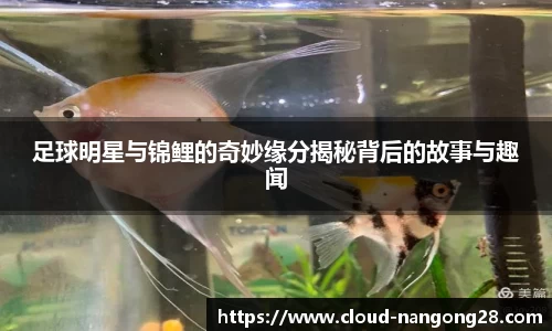 足球明星与锦鲤的奇妙缘分揭秘背后的故事与趣闻